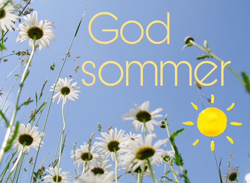 Sommersamling